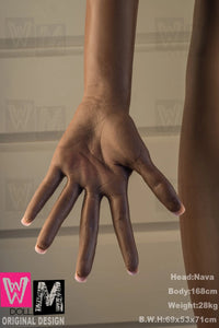Exclusive Nava - 168cm (5ft6') African-American WM Dolls - Head Nava