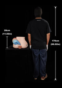 CLM 28cm (11