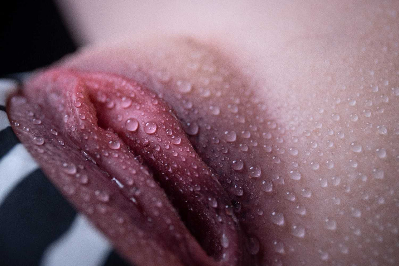 Erovenus 33cm (13") LoveNestle Series Realistic Pussy Silicone Doll - Sabrina