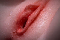 Erovenus 95cm (37.4