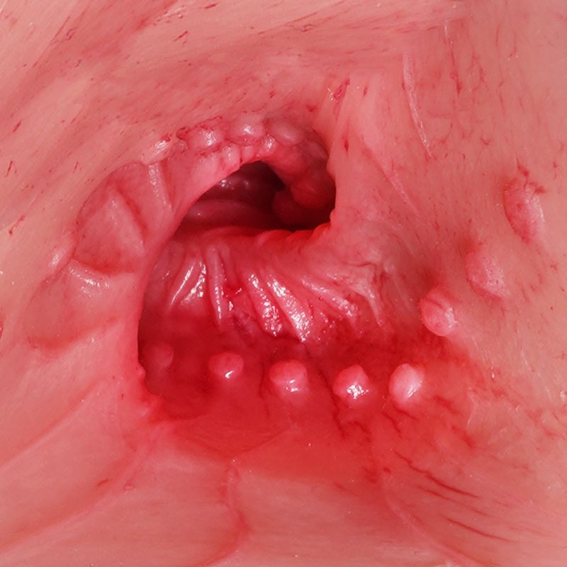 75cm (2ft6") Realistic Human-Like Skin Torso Doll – Jennifer Fair