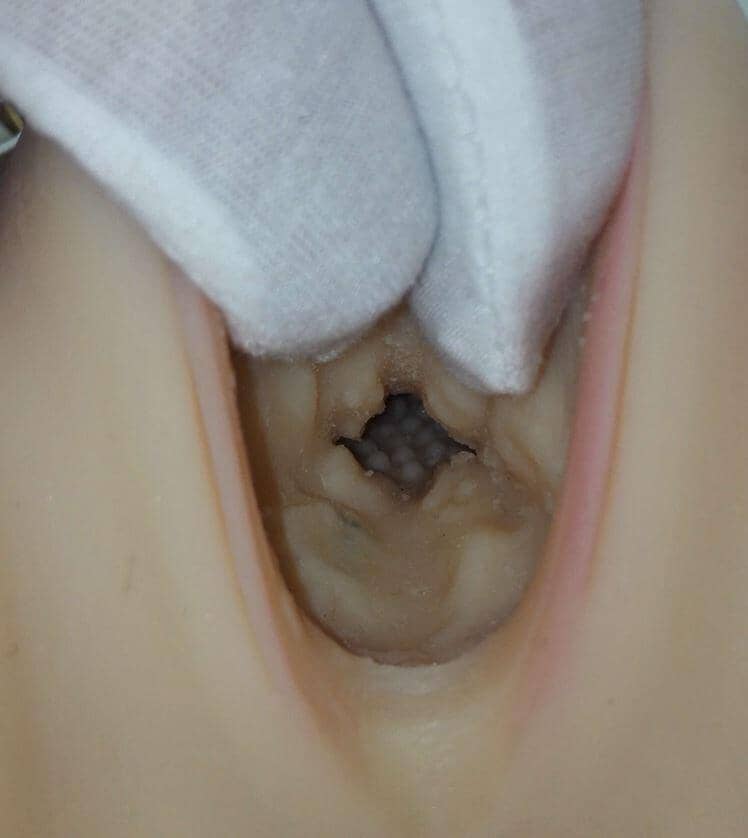 Removable Vagina Insert TPE