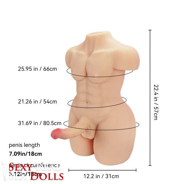 Tantaly Dolls 54cm (1ft9') Muscular Physique Realistic Torso Sex Doll